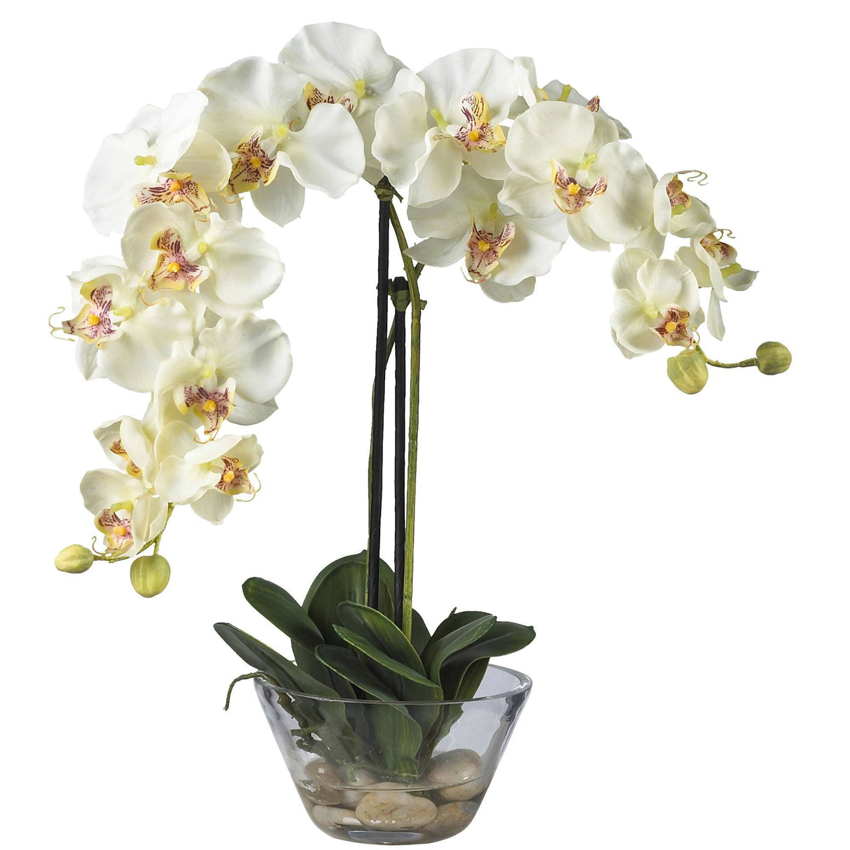 Phalaenopsis w/Glass Vase Silk Flower Arrangement-Parc Decor