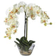 Phalaenopsis w/Glass Vase Silk Flower Arrangement-Parc Decor