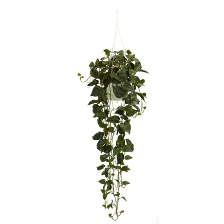 Philodendron Hanging Basket Silk Plant-Parc Decor