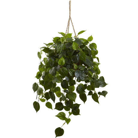 Philodendron Hanging Basket UV Resistant (Indoor/Outdoor)-Parc Decor
