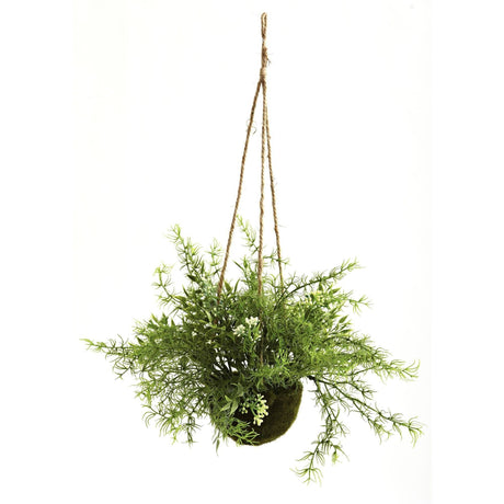 Ruscus, Sedum & Springeri Hanging Basket (Set of 3)-Parc Decor