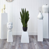 Sansevieria w/Black Planter-Parc Decor