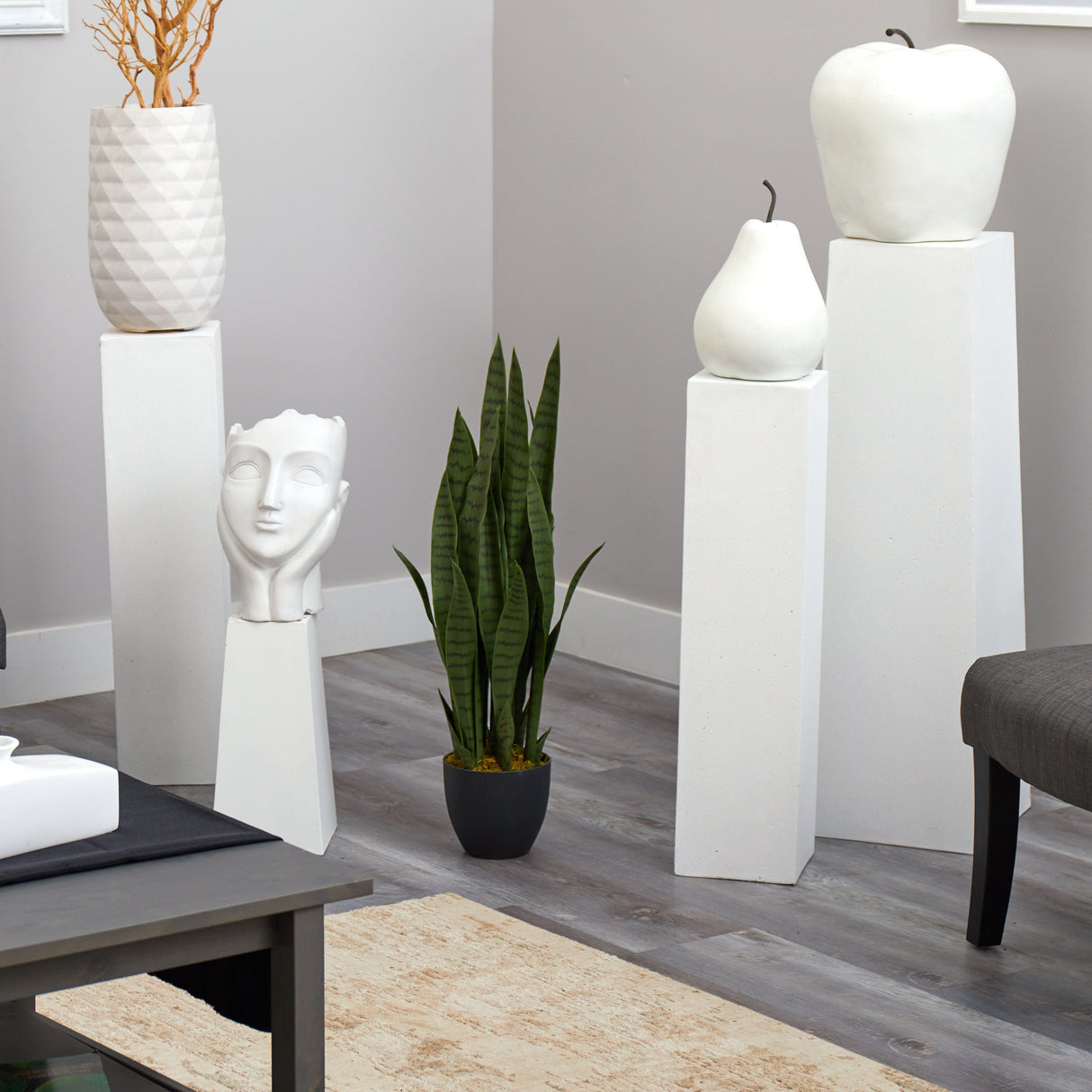 Sansevieria w/Black Planter-Parc Decor
