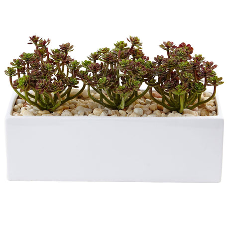 Sedum in Rectangular Planter-Parc Decor