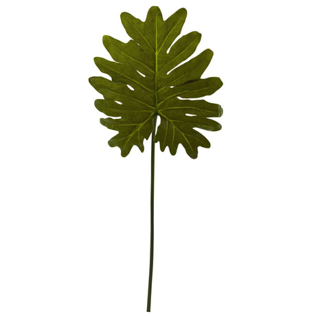 Selloum Philo Single Leaf Stem (Set of 12)-Parc Decor
