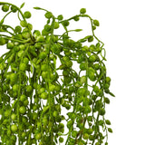 Senecio Artificial Succulent (Set of 3)-Parc Decor