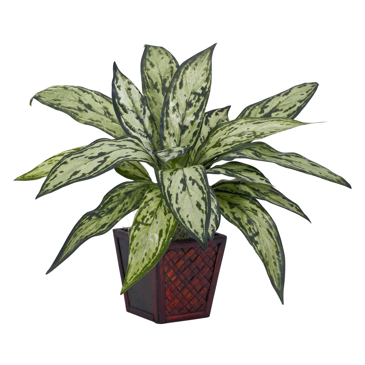 Silver Queen Silk Plant (Set of 2)-Parc Decor