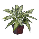 Silver Queen Silk Plant (Set of 2)-Parc Decor