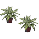 Silver Queen Silk Plant (Set of 2)-Parc Decor