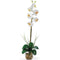 Single Phalaenopsis Liquid Illusion Silk Flower Arrangement-Parc Decor