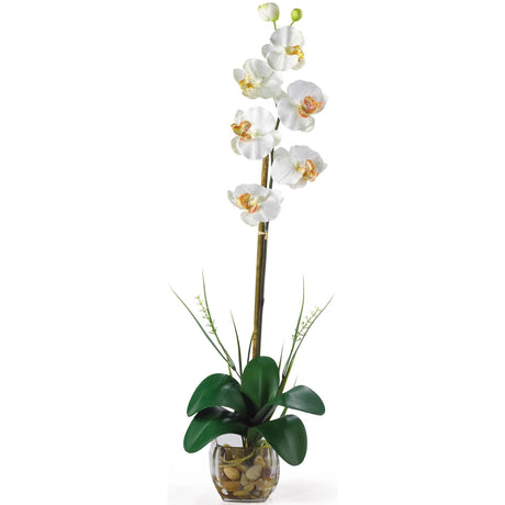 Single Phalaenopsis Liquid Illusion Silk Flower Arrangement-Parc Decor
