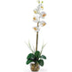 Single Phalaenopsis Liquid Illusion Silk Flower Arrangement-Parc Decor