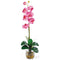 Single Phalaenopsis Liquid Illusion Silk Flower Arrangement-Parc Decor