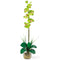 Single Phalaenopsis Liquid Illusion Silk Flower Arrangement-Parc Decor