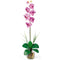Single Phalaenopsis Liquid Illusion Silk Flower Arrangement-Parc Decor