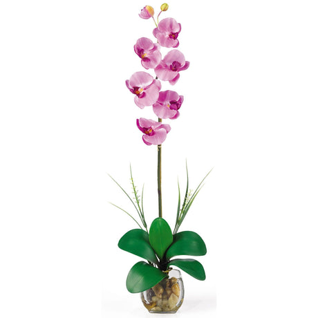 Single Phalaenopsis Liquid Illusion Silk Flower Arrangement-Parc Decor