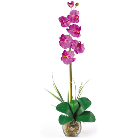 Single Phalaenopsis Liquid Illusion Silk Flower Arrangement-Parc Decor