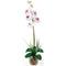 Single Phalaenopsis Liquid Illusion Silk Flower Arrangement-Parc Decor