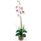 Single Phalaenopsis Liquid Illusion Silk Flower Arrangement-Parc Decor