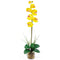 Single Phalaenopsis Liquid Illusion Silk Flower Arrangement-Parc Decor