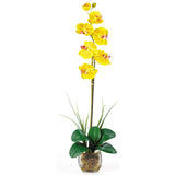 Single Phalaenopsis Liquid Illusion Silk Flower Arrangement-Parc Decor