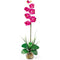 Single Phalaenopsis Liquid Illusion Silk Flower Arrangement-Parc Decor