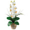 Single Stem Phalaenopsis Silk Orchid Arrangement-Parc Decor