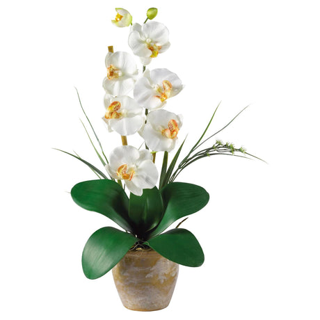 Single Stem Phalaenopsis Silk Orchid Arrangement-Parc Decor