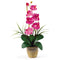 Single Stem Phalaenopsis Silk Orchid Arrangement-Parc Decor
