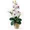 Single Stem Phalaenopsis Silk Orchid Arrangement-Parc Decor
