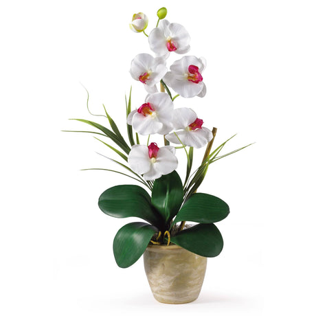 Single Stem Phalaenopsis Silk Orchid Arrangement-Parc Decor