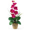 Single Stem Phalaenopsis Silk Orchid Arrangement-Parc Decor
