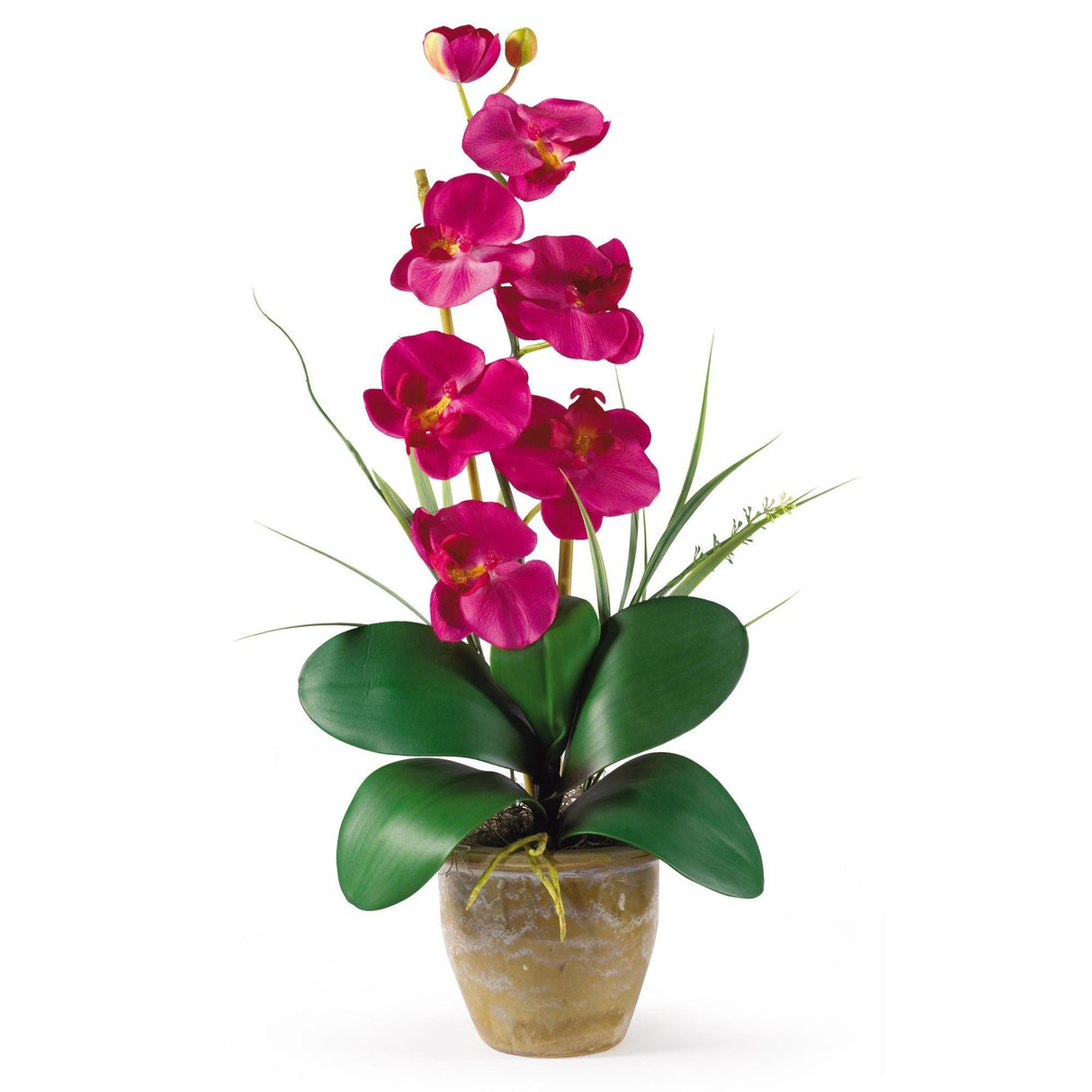 Single Stem Phalaenopsis Silk Orchid Arrangement-Parc Decor