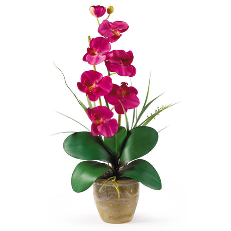 Single Stem Phalaenopsis Silk Orchid Arrangement-Parc Decor