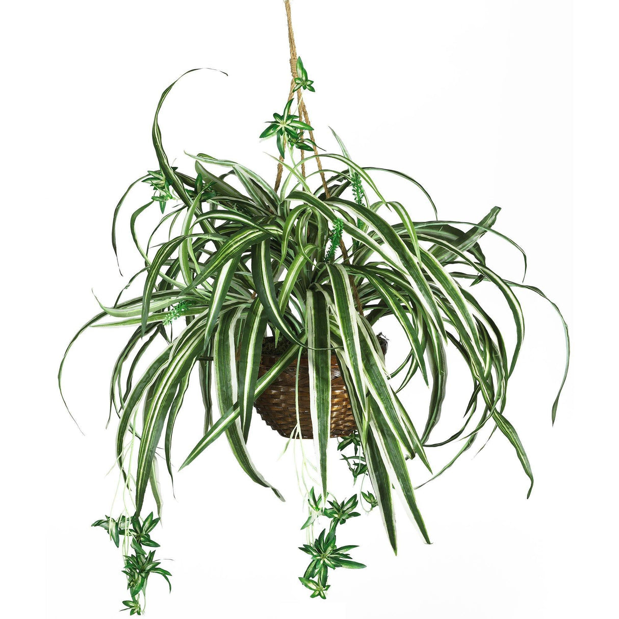 Spider Hanging Basket Silk Plant-Parc Decor