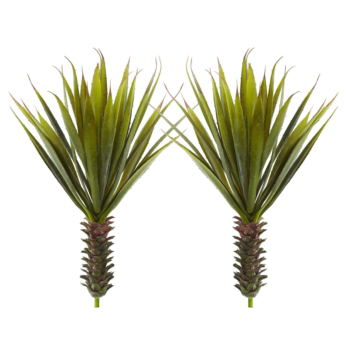 Spiky Agave Succulent Plant (Set of 2)-Parc Decor