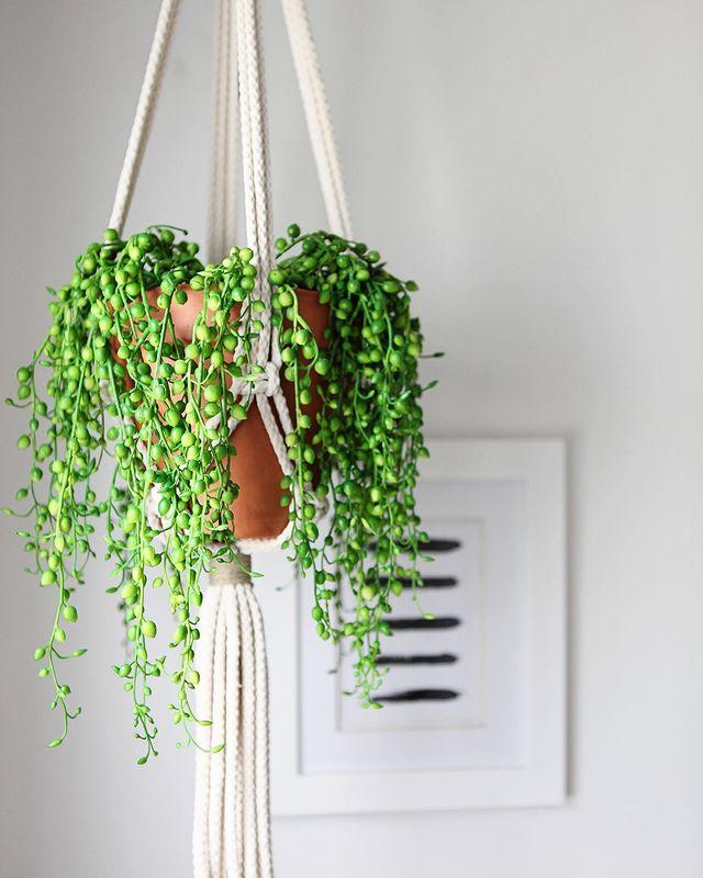 String of Pearl Artificial Plant Hanging Basket-Parc Decor