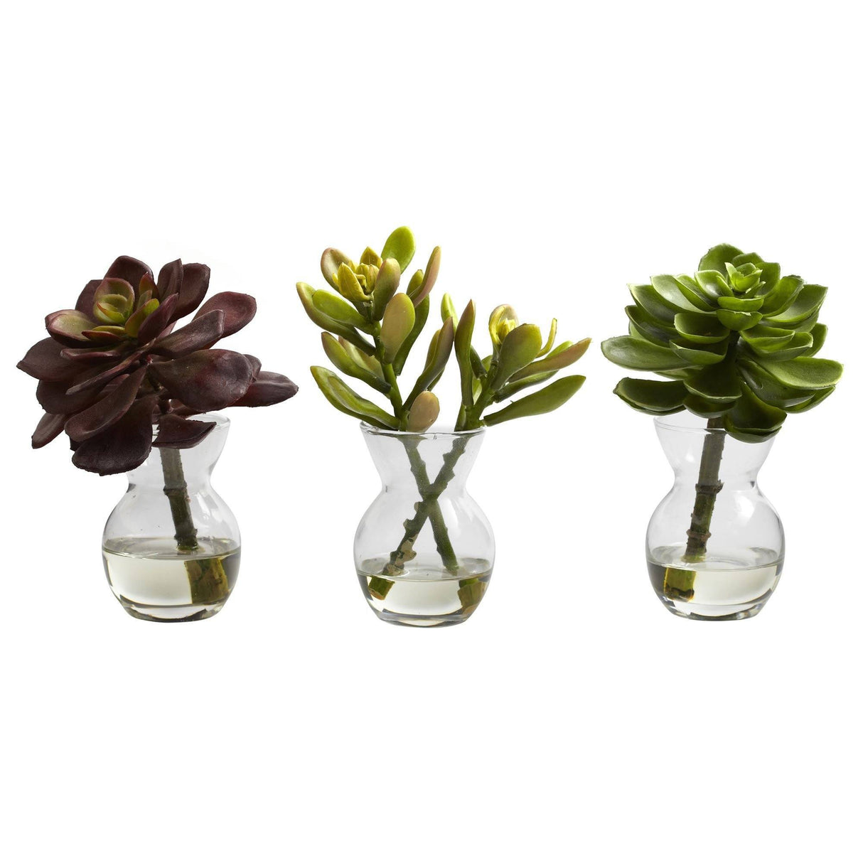 Succulent Arrangements (Set of 3)-Parc Decor