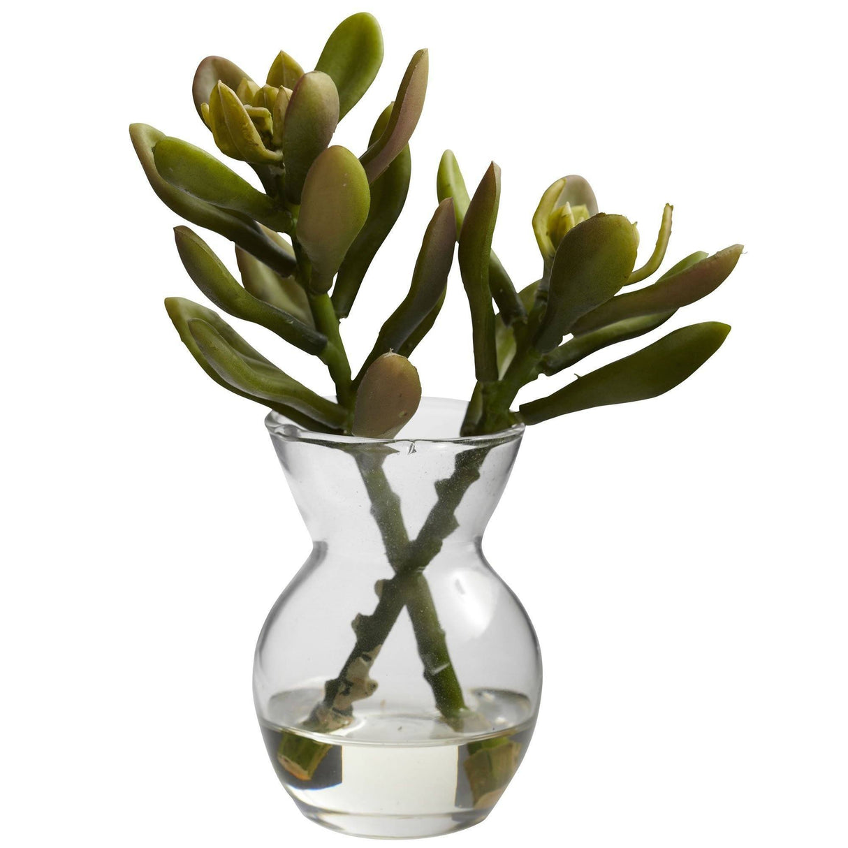 Succulent Arrangements (Set of 3)-Parc Decor