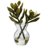 Succulent Arrangements (Set of 3)-Parc Decor