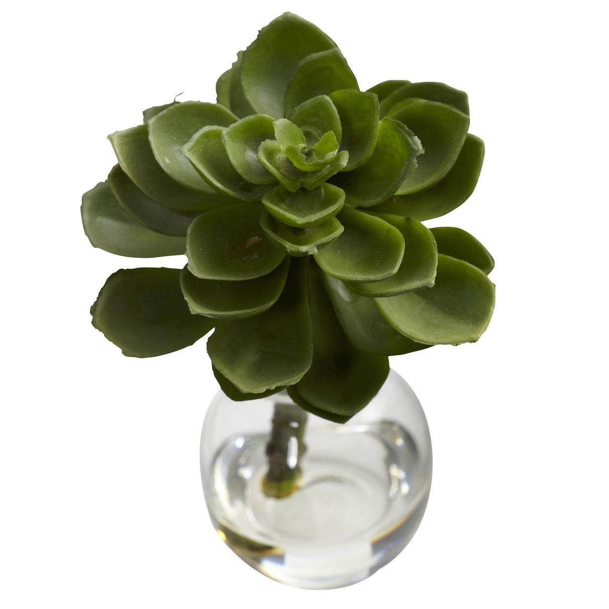 Succulent Arrangements (Set of 3)-Parc Decor