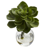 Succulent Arrangements (Set of 3)-Parc Decor