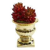 Succulent Artificial Plant in Gold Urn-Parc Decor