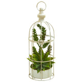 Succulent Garden Artificial Plant in Birdcage-Parc Decor