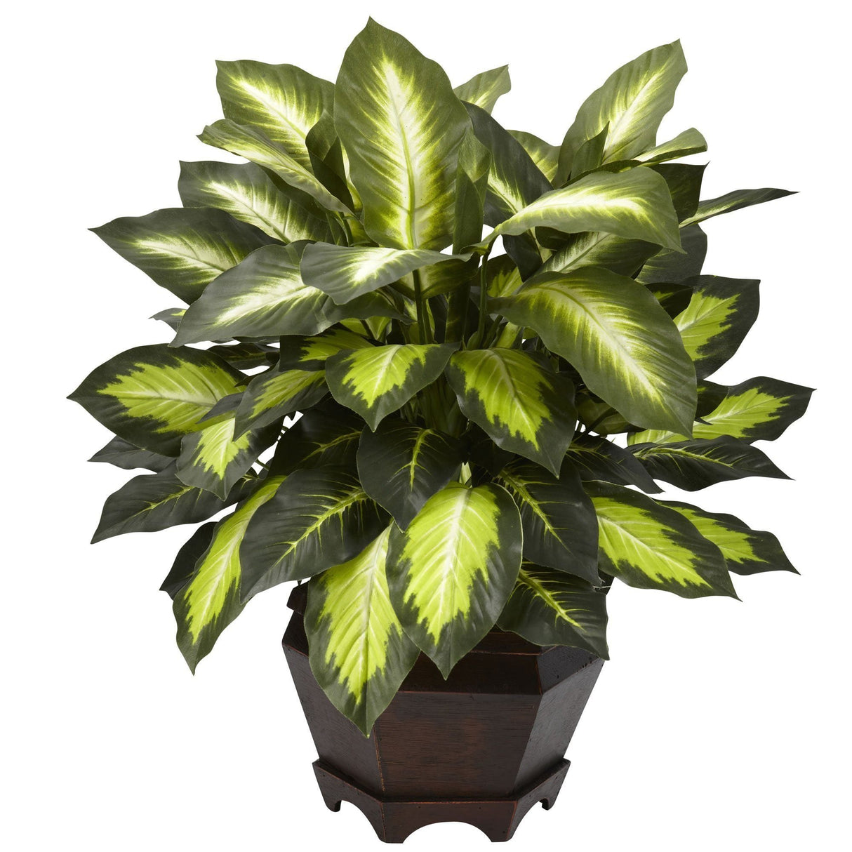 Triple Golden Dieffenbachia w/Wood Vase-Parc Decor