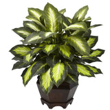 Triple Golden Dieffenbachia w/Wood Vase-Parc Decor