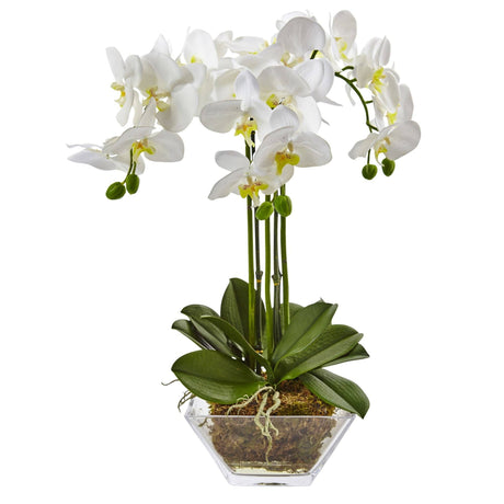 Triple Phalaenopsis Orchid in Glass Vase-Parc Decor