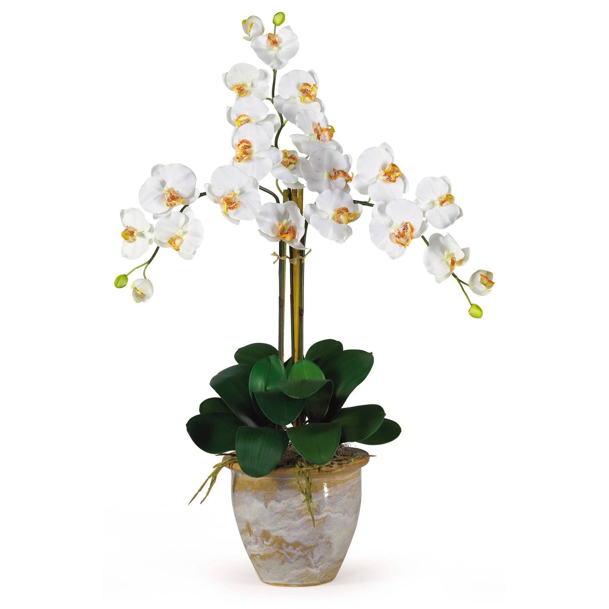 Triple Stem Phalaenopsis Silk Orchid Arrangement-Parc Decor