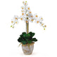 Triple Stem Phalaenopsis Silk Orchid Arrangement-Parc Decor