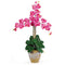 Triple Stem Phalaenopsis Silk Orchid Arrangement-Parc Decor
